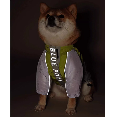 easy-off dog jacket reflective