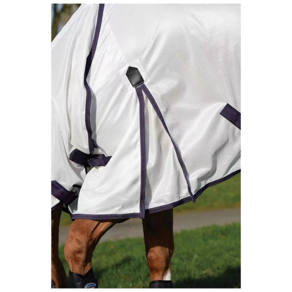 horse blanket horse blanket