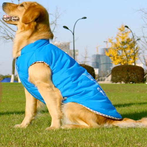 dog puffer coat