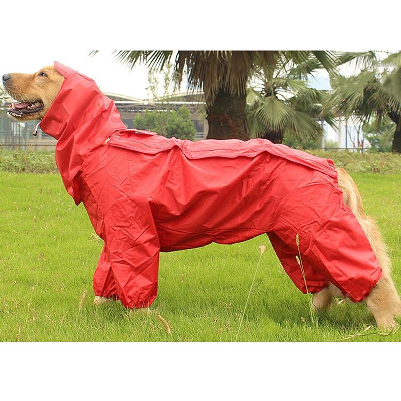 Outdoor  Rain jacket