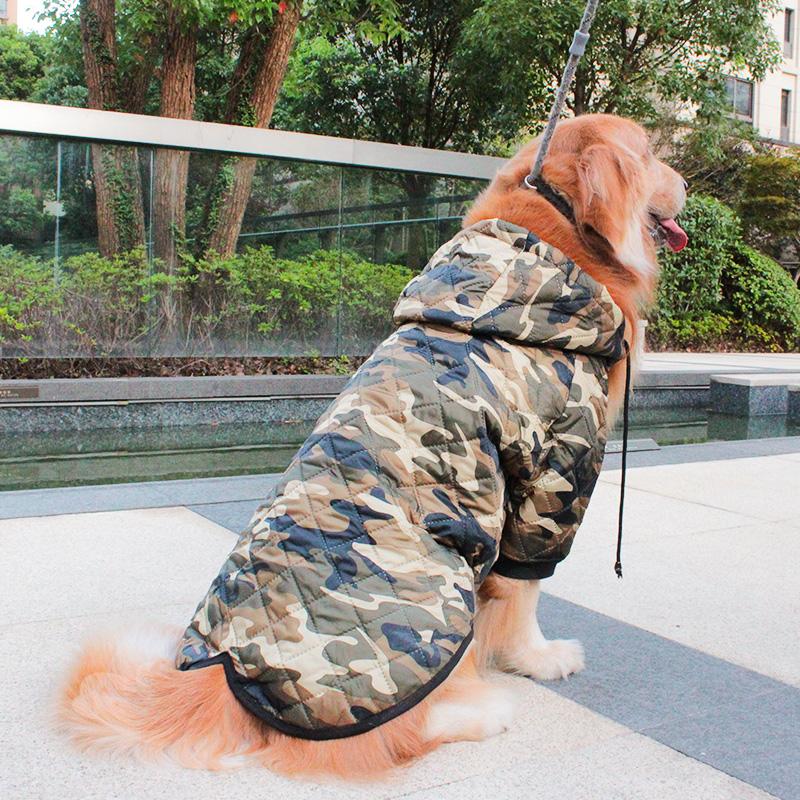 Padding Dog Coat