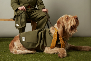 Why You Should Invest in Good Quality Dog Clothes