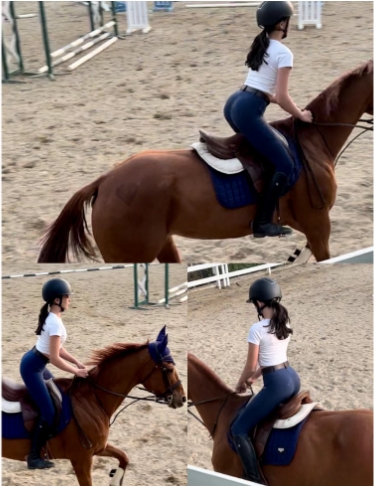 Selecting The Perfect Modern Equine Stylish